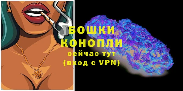 PSILOCYBIN Зерноград