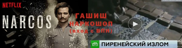 PSILOCYBIN Зерноград