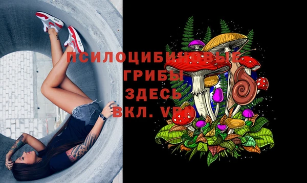 PSILOCYBIN Зерноград