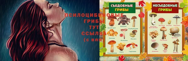2c-b Зеленокумск